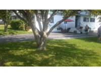 118 Jackson Ave