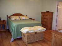 11 Elmwood