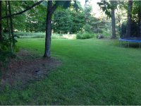 1232 McKinley