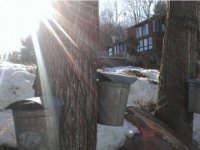 1232 McKinley