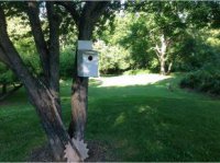 1232 McKinley