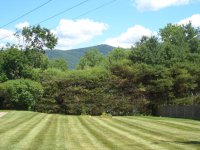 40 Hillside
