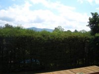 40 Hillside