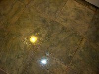 64 Meadowbrook