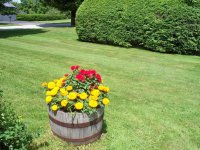 64 Meadowbrook