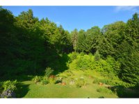 3961 Hartland Hill