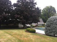 6 Orchard