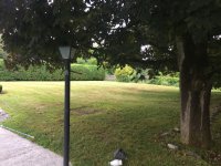 6 Orchard