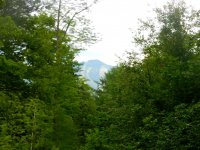 541 Roaring Brook