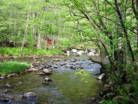 117 River