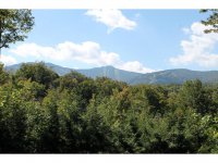 967 Roaring Brook