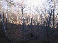 259 Old Mill