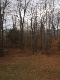287 Rocky Ridge