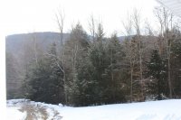 39 Lookout