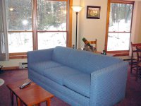 532 East Mountain Trail Creek