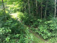 3609 River