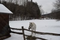 773 Hale Hollow
