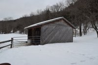 773 Hale Hollow