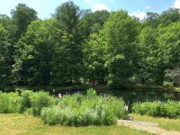 3827 Hartland Hill