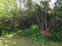 3827 Hartland Hill