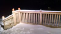 231 Flory Heights