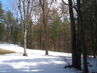 72 Georgeanna Colonial Estates Subdivision