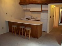 57 Silver Birch