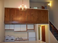 57 Silver Birch