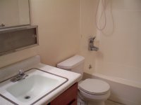 57 Silver Birch