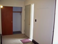 57 Silver Birch
