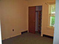 57 Silver Birch