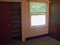 57 Silver Birch