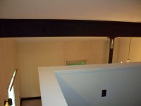 57 Silver Birch