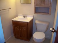 57 Silver Birch