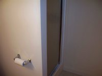 57 Silver Birch