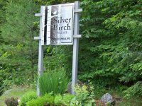 57 Silver Birch