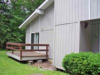 57 Silver Birch