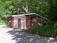 57 Silver Birch