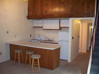 57 Silver Birch