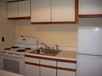 57 Silver Birch