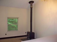 57 Silver Birch
