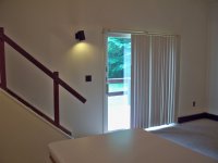 57 Silver Birch