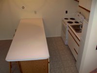 57 Silver Birch