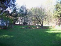 354 Cedar