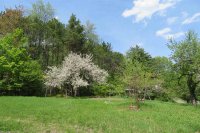 60 Juniper Way Woodstock Vt 05091