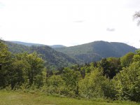 401 Great Roaring Brook