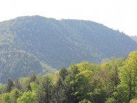 401 Great Roaring Brook