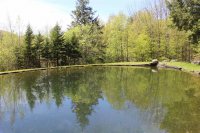 783 Hawk Mountain