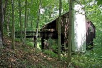 501 Hawk Spur