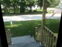 28 Jackson Ave